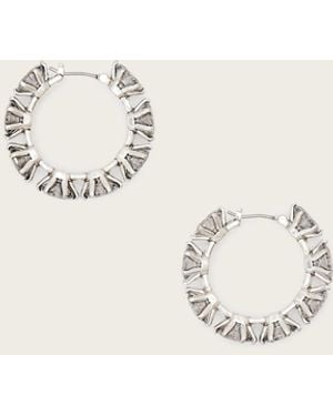 AllSaints Mabel Hoop Earrings - Natural