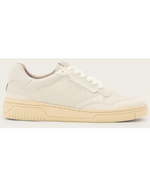 AllSaints Regan Leather Low Top Trainers - Natural