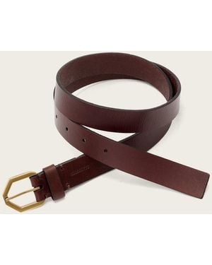 AllSaints Amara Leather Waist Belt - Brown