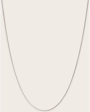 AllSaints Axl Curb Sterling Small Chain Necklace - Natural