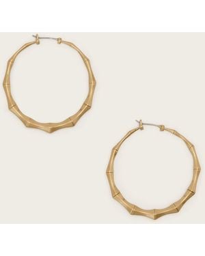 AllSaints Clara Medium Hoop Earrings - Natural