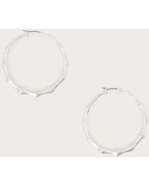 AllSaints Clara Medium Hoop Earrings - Natural