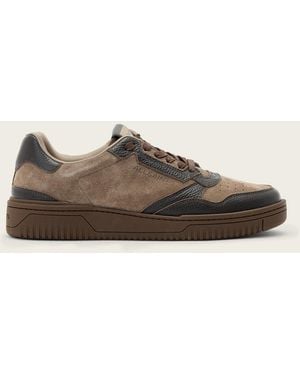 AllSaints Regan Low Top Trainers - Brown