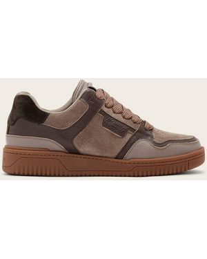 AllSaints Leather Regan Plus Leather Low Top Trainers, /Us 8/Eu 41 - Brown