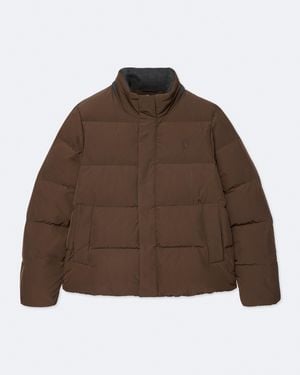 AllSaints Govern Oversized Puffer Jacket - Brown