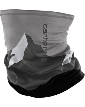Carhartt One Size Fits All - Mountain Print - Gray