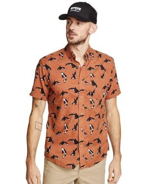 Eddie Bauer Big & Tall Baja Short-sleeve Shirt-print - Brown