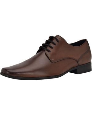 Calvin Klein Brodie Oxford - Braun