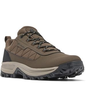 Columbia Transverse Hike Low - Brown