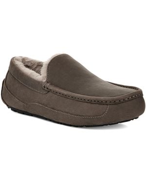 UGG Ascot Slipper - Gray