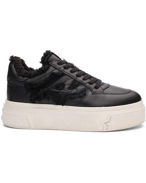 Ash Sailor Faux Fur Lined Platform Sneaker-stylish High-top Shoes With Chunky Sole And Soft Interior - Black