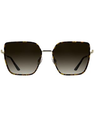Calvin Klein Havana with Gradient Brown - Nero