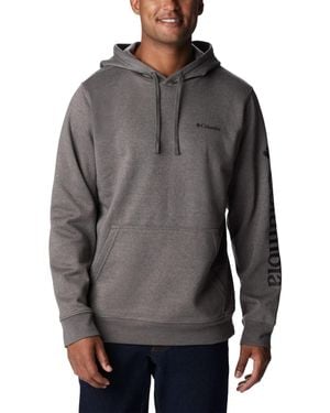 Columbia Trek Hoodie - Grey