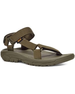 Teva Hurricane Xlt2 - Brown