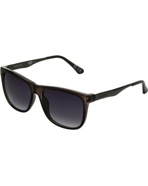 Dockers Corey Way Polarized Sunglasses - Black