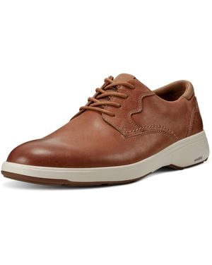 Rockport Noah Plain Toe Oxford - Brown