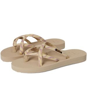Teva Olowahu Sandals 6 B - Multicolour