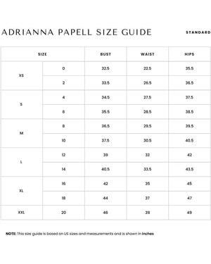 Adrianna Papell Petite Beaded Mesh Long Dress - White