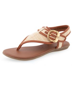Aerosoles Isa Flat Sandal - Brown