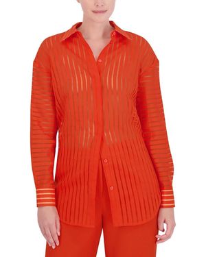 bcbg agda