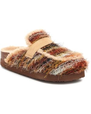 Rocket Dog Articmt Mule - Brown