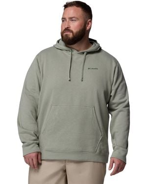 Columbia S Trek Graphic Hoodie - Gray
