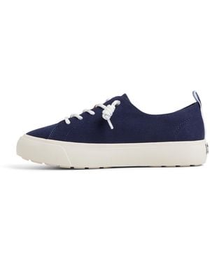 Sperry Top-Sider Cove Lace To Toe Sneaker - Blue