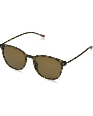 Nautica N6247s Polarized Round Sunglasses - Multicolor