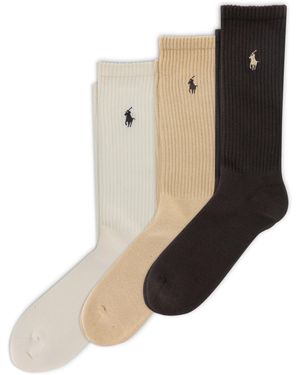 Polo Ralph Lauren Pp Rib Crew Sock - Brown