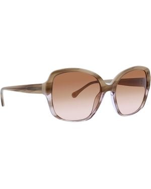 Trina Turk Fitzroy Square Acetate Sunglass - Brown