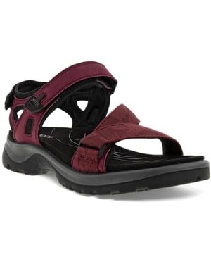 Ecco Yucatan Coast - Brown