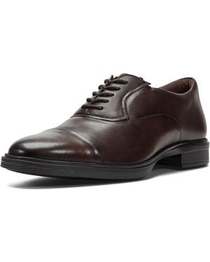 Rockport Keefe Oxford - Brown