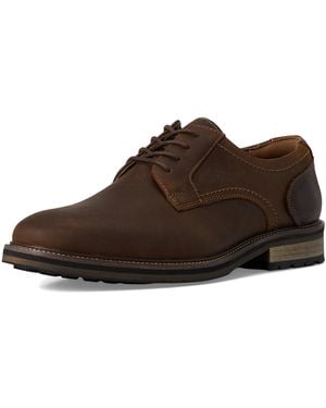 Steve Madden Carlsbad Oxford - Brown