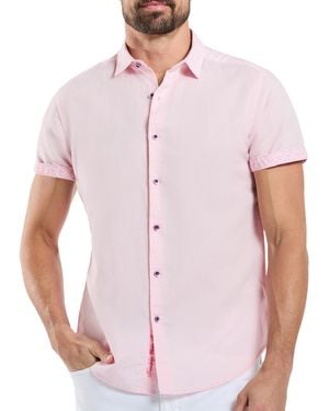 Robert Graham Os25200a-650 - Pink