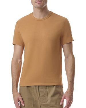 Splendid Mills Supply By Plain Jersey Crew Tee - Brown