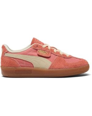 PUMA Palermo Sneakers - Pink