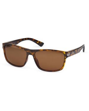 Gafas timberland amazon sale