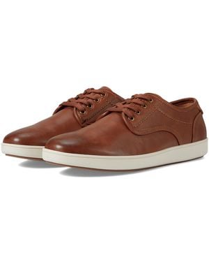 Steve Madden Fenta Fashion Sneaker - Braun