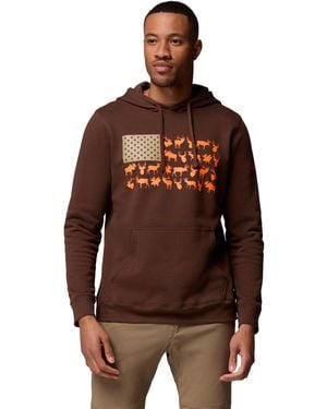 Columbia S Phg Game Flag Ii Hoodie - Brown
