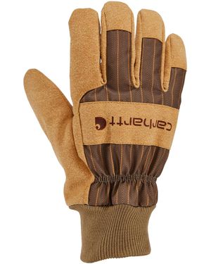 Carhartt Insulated Synthetic Suede Knit Cuff Glove 1 Paar Handschuhe - Braun