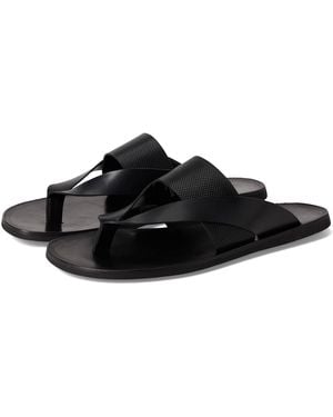 Steve Madden Cicero Sandale - Schwarz