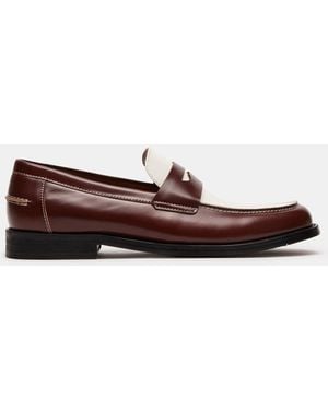 Steve Madden NATAN BROWN MULTI - Braun