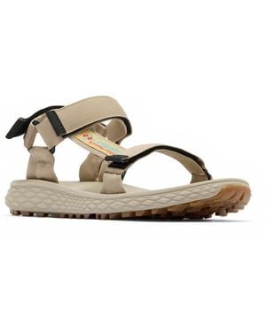 Columbia Konos Globetrot Sandal - Brown