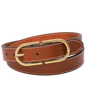 Fossil Belt - Braun