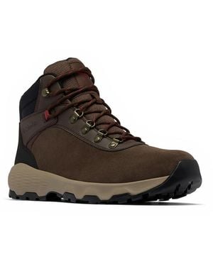 Columbia Newton Wander - Brown