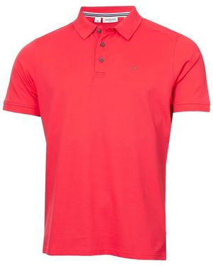 Calvin Klein Raspberry - Red