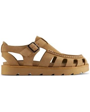 Clarks Meadow Buckle - Marrone