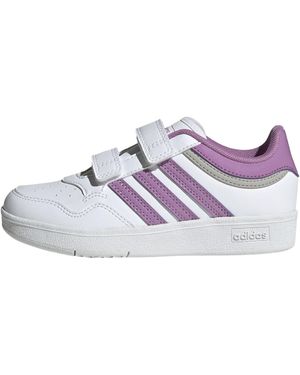 adidas Hoops 4.0 Shoes - Viola