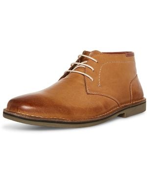 Steve Madden Hestonn - Brown