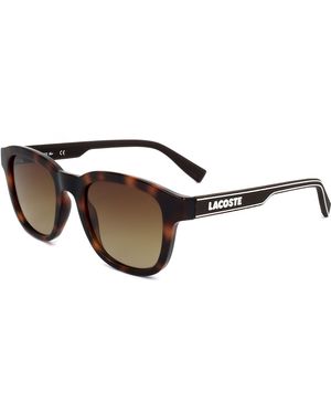 Lacoste Occhiali da Sole L966S 230 HAVANA 50/20/145 Uomo - Nero